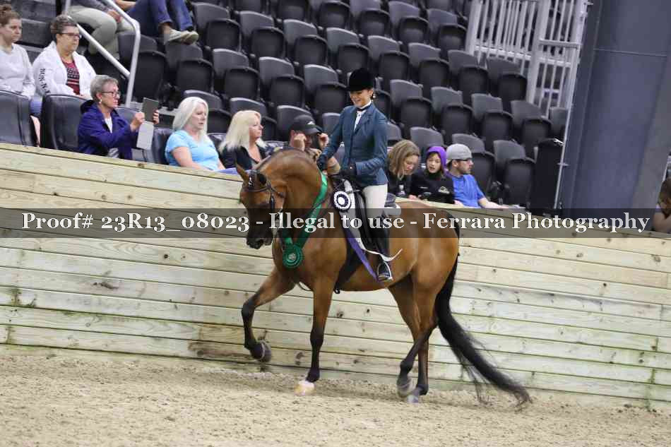 Proof Number 23R13_08023