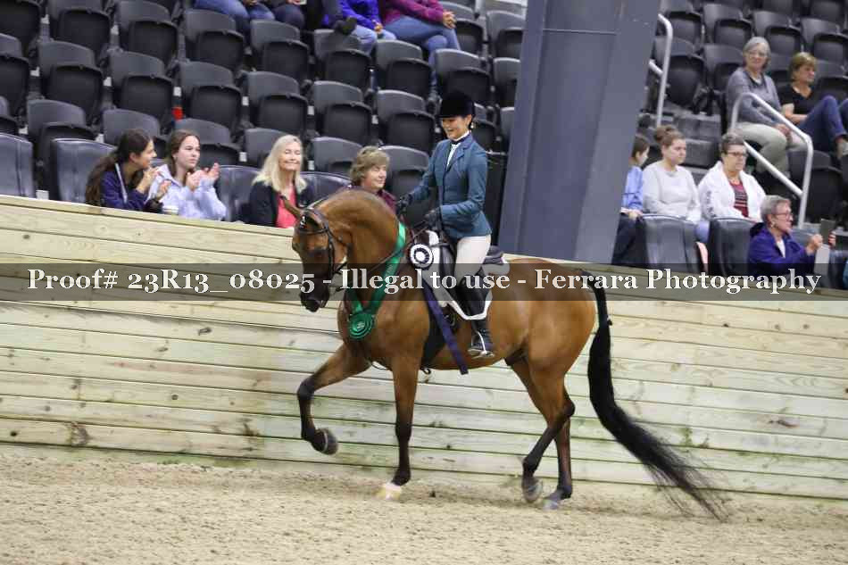 Proof Number 23R13_08025
