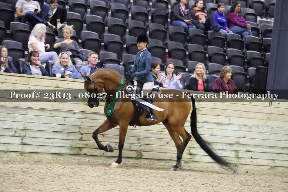 Proof Number 23R13_08027