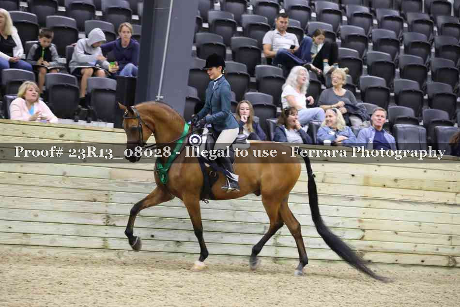 Proof Number 23R13_08028