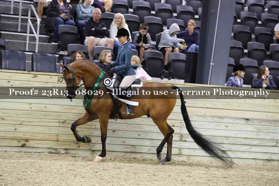 Proof Number 23R13_08029