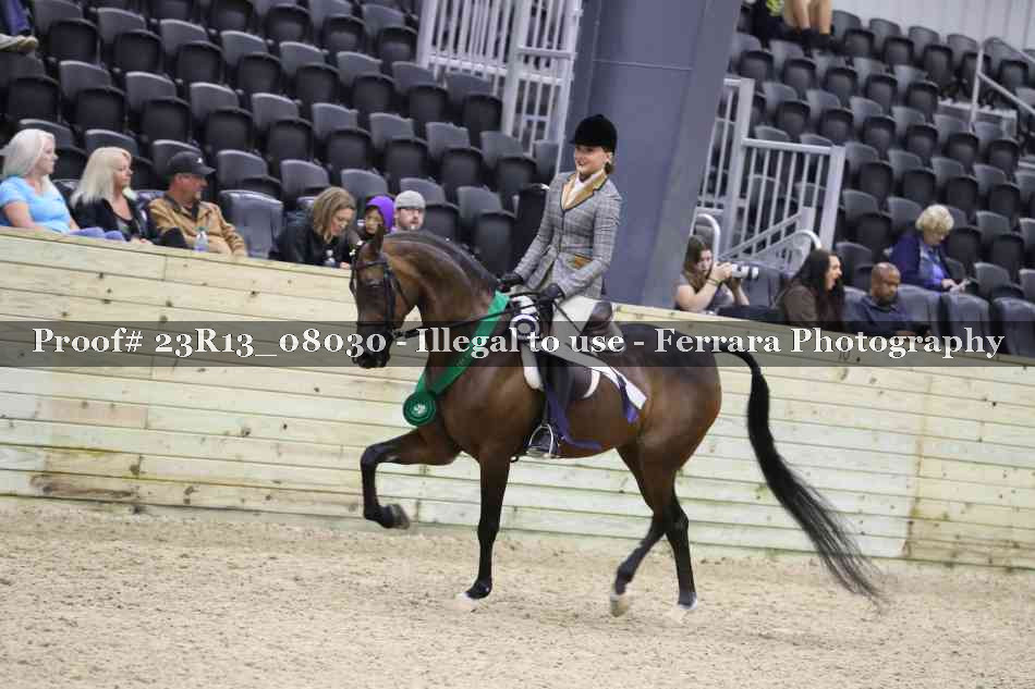 Proof Number 23R13_08030