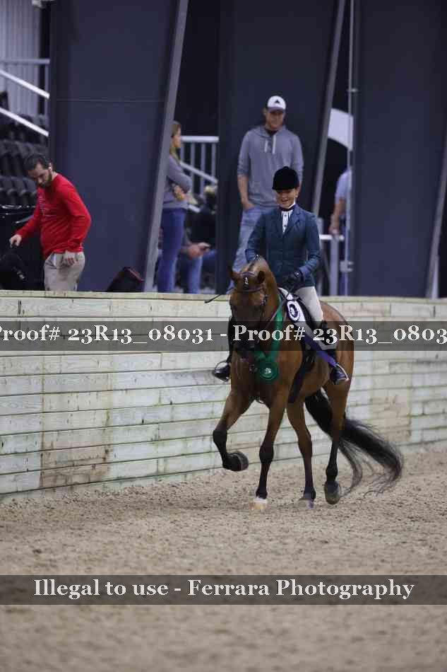 Proof Number 23R13_08031