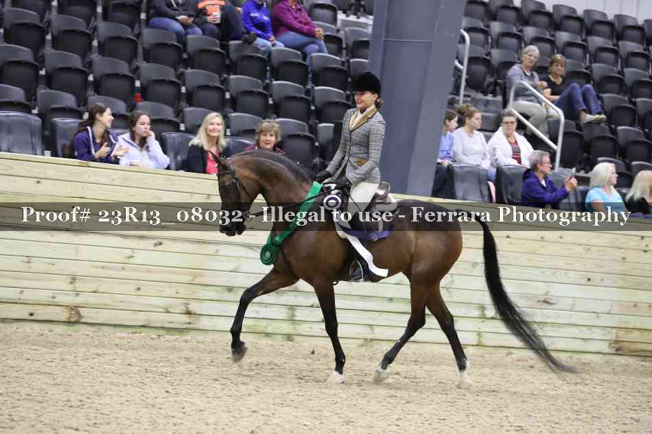 Proof Number 23R13_08032