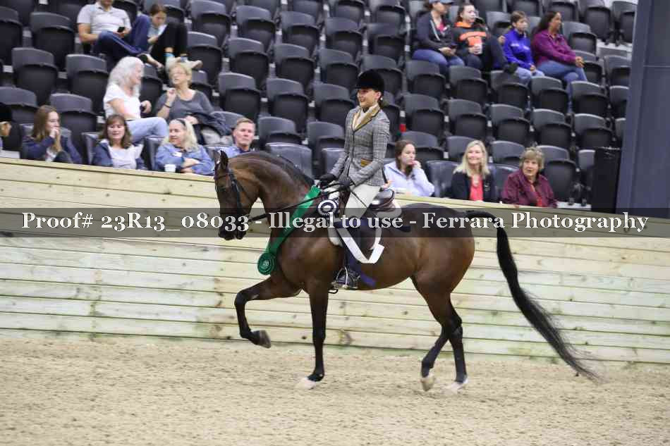 Proof Number 23R13_08033