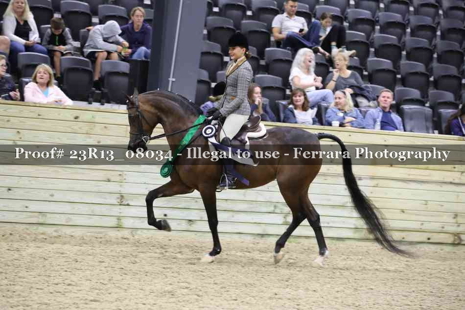 Proof Number 23R13_08034