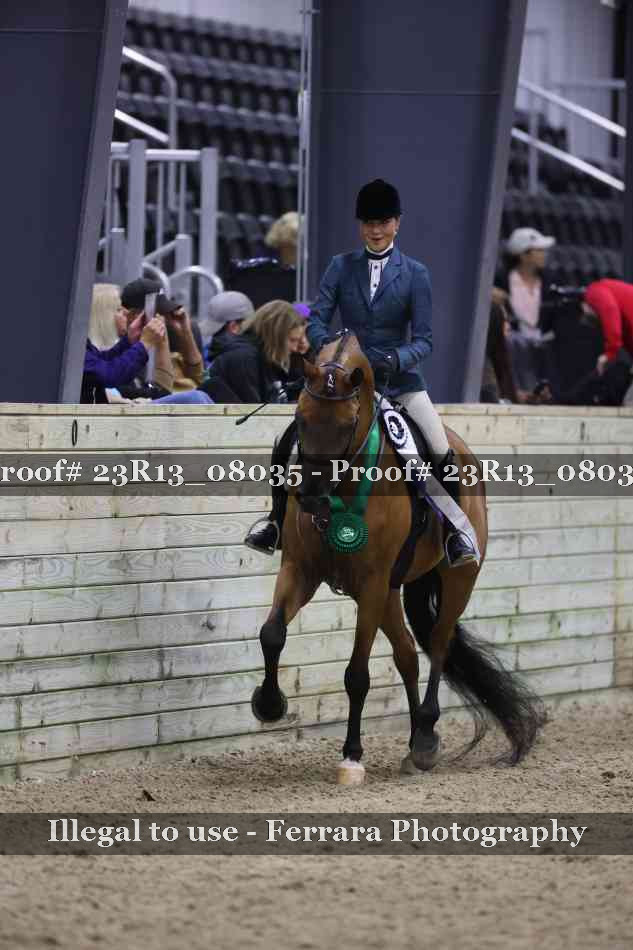 Proof Number 23R13_08035