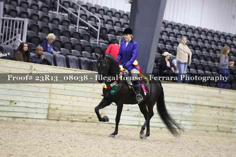 Proof Number 23R13_08038