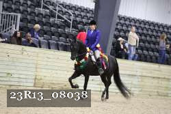 23R13_08038 thumbnail