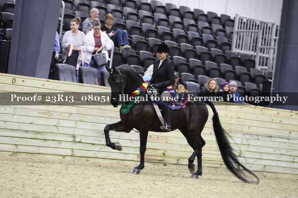 Proof Number 23R13_08051