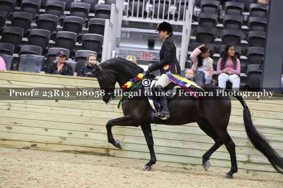 Proof Number 23R13_08058