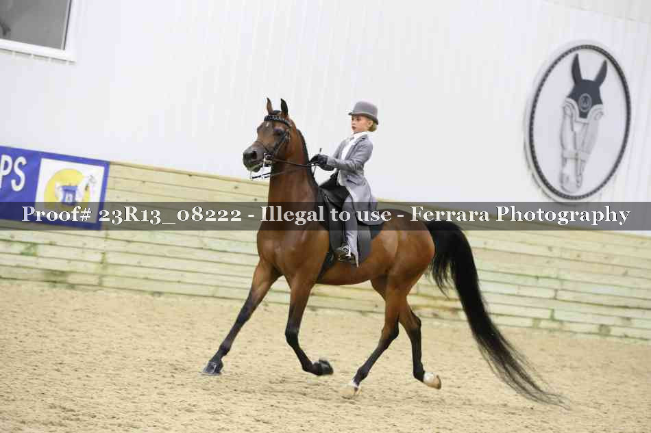 Proof Number 23R13_08222