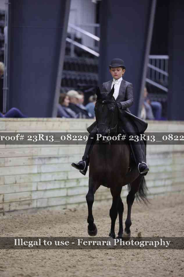 Proof Number 23R13_08229