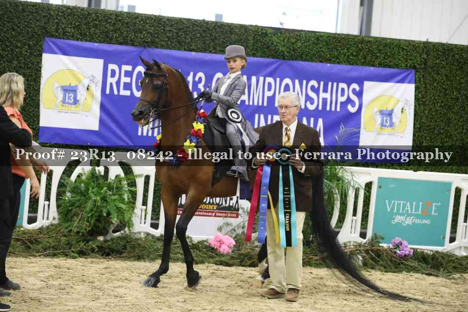 Proof Number 23R13_08242