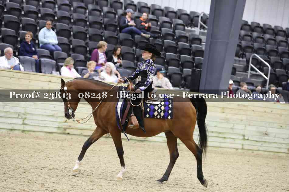 Proof Number 23R13_08248