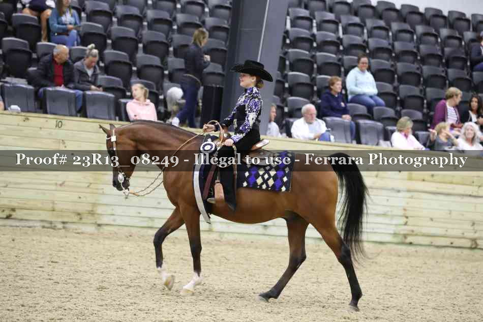 Proof Number 23R13_08249