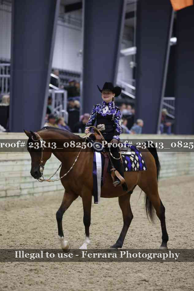 Proof Number 23R13_08250
