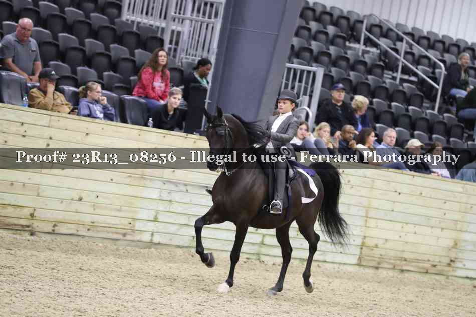 Proof Number 23R13_08256