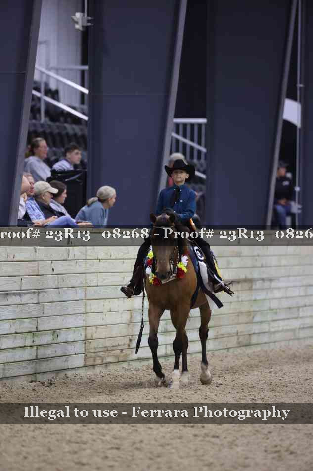 Proof Number 23R13_08268