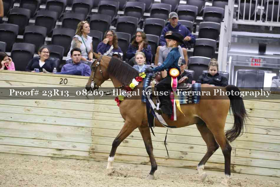 Proof Number 23R13_08269