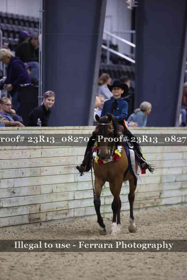 Proof Number 23R13_08270