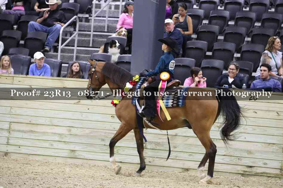 Proof Number 23R13_08271
