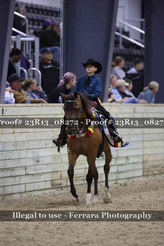 Proof Number 23R13_08272
