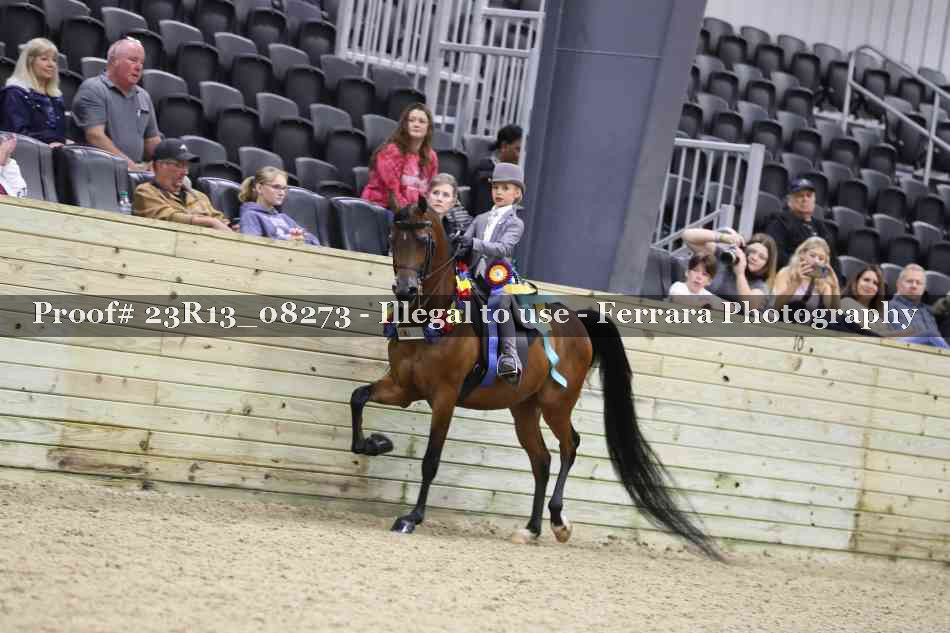 Proof Number 23R13_08273