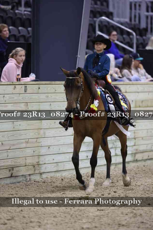 Proof Number 23R13_08274