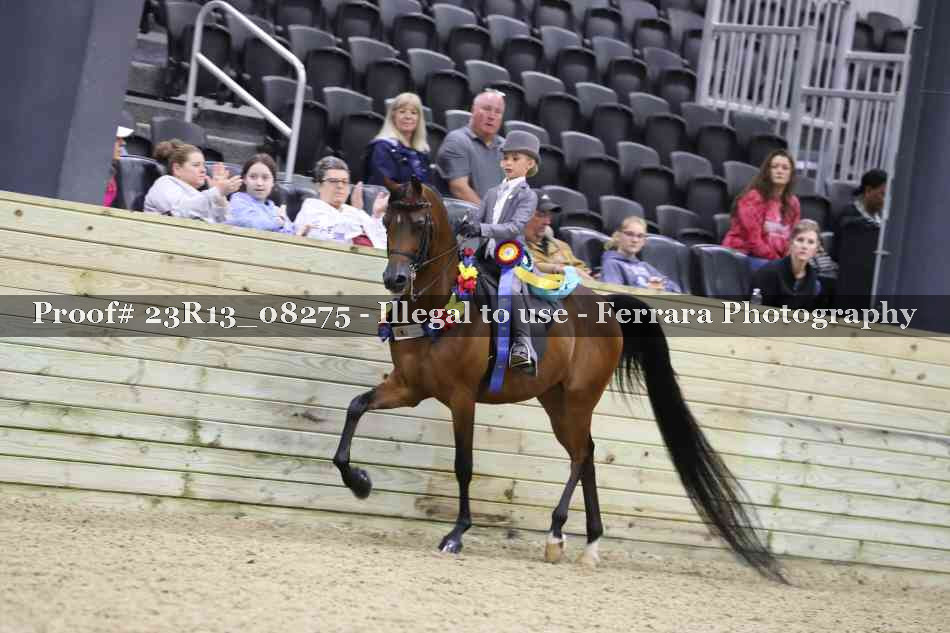 Proof Number 23R13_08275