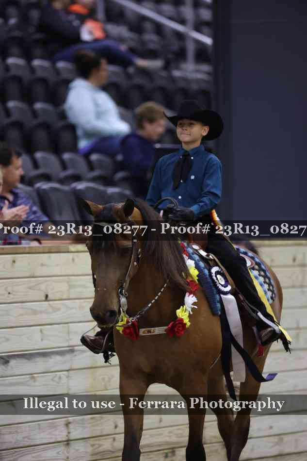 Proof Number 23R13_08277