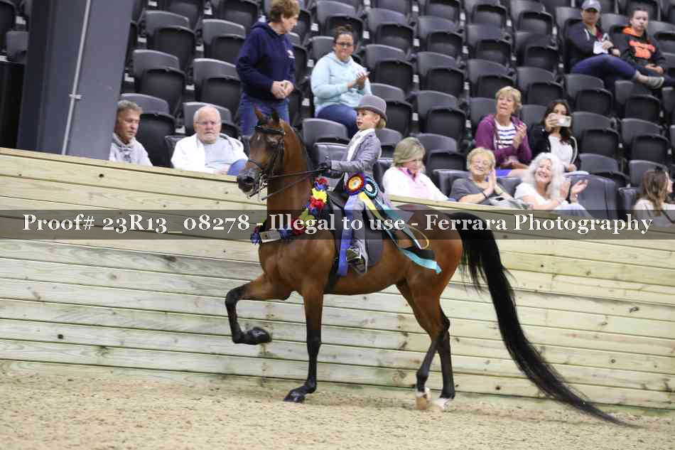 Proof Number 23R13_08278