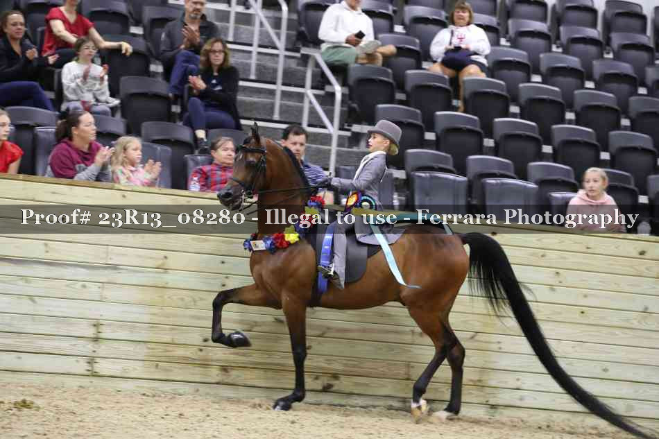 Proof Number 23R13_08280