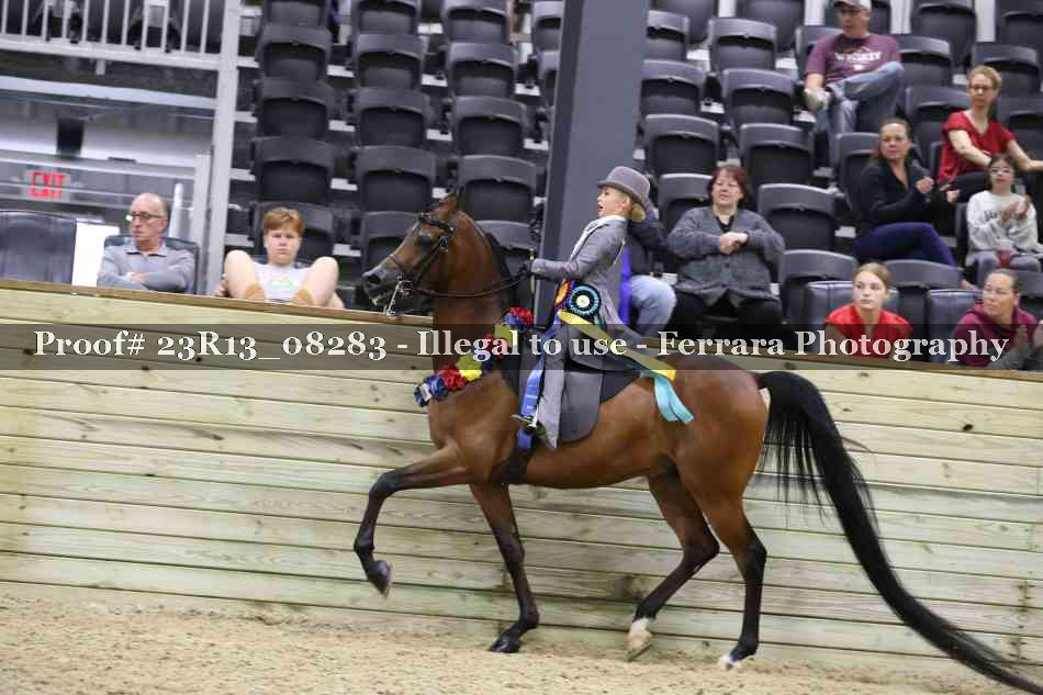 Proof Number 23R13_08283