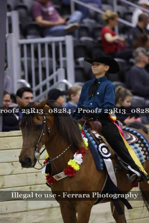 Proof Number 23R13_08284