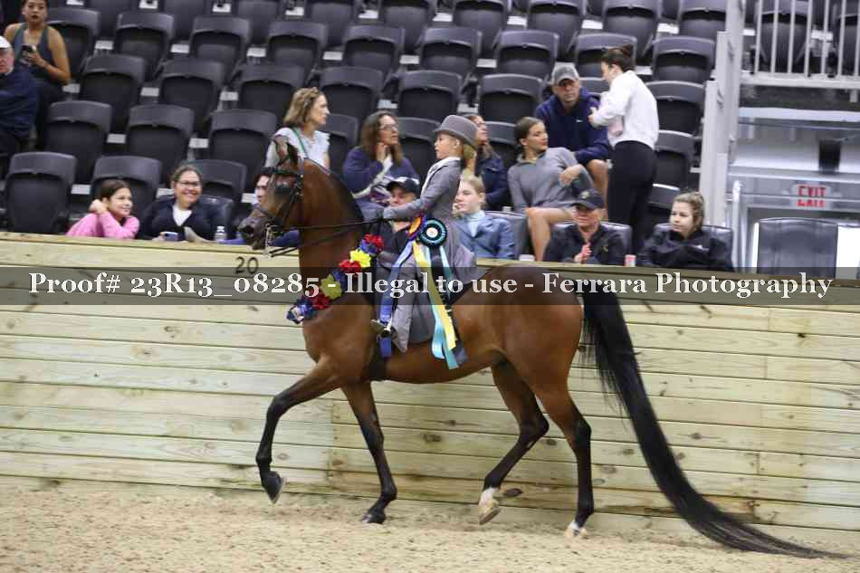 Proof Number 23R13_08285
