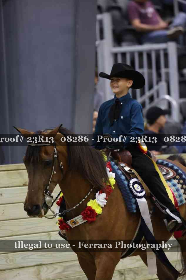 Proof Number 23R13_08286
