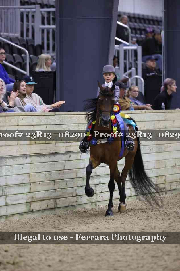 Proof Number 23R13_08290