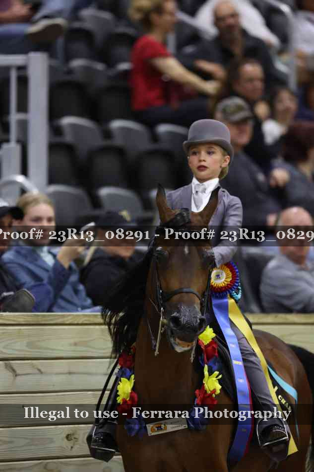 Proof Number 23R13_08291