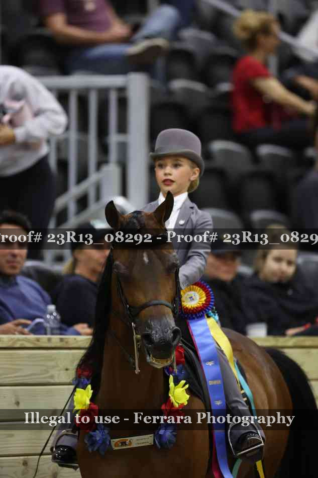 Proof Number 23R13_08292