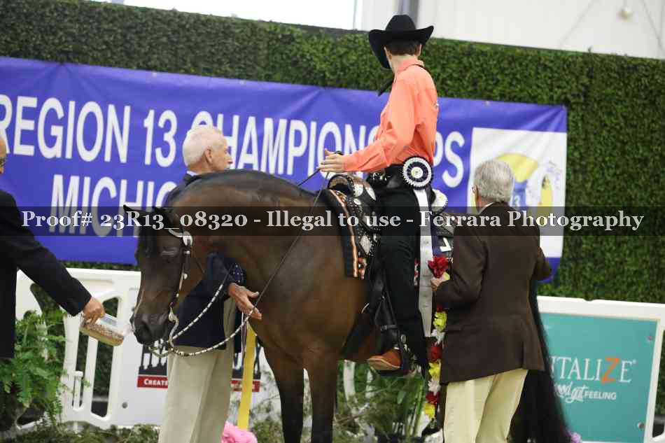 Proof Number 23R13_08320
