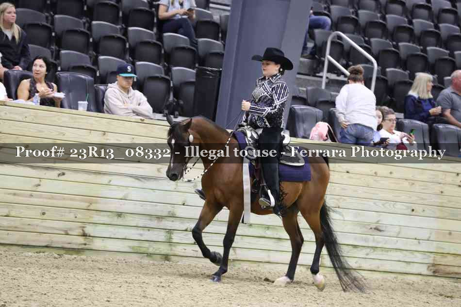 Proof Number 23R13_08332