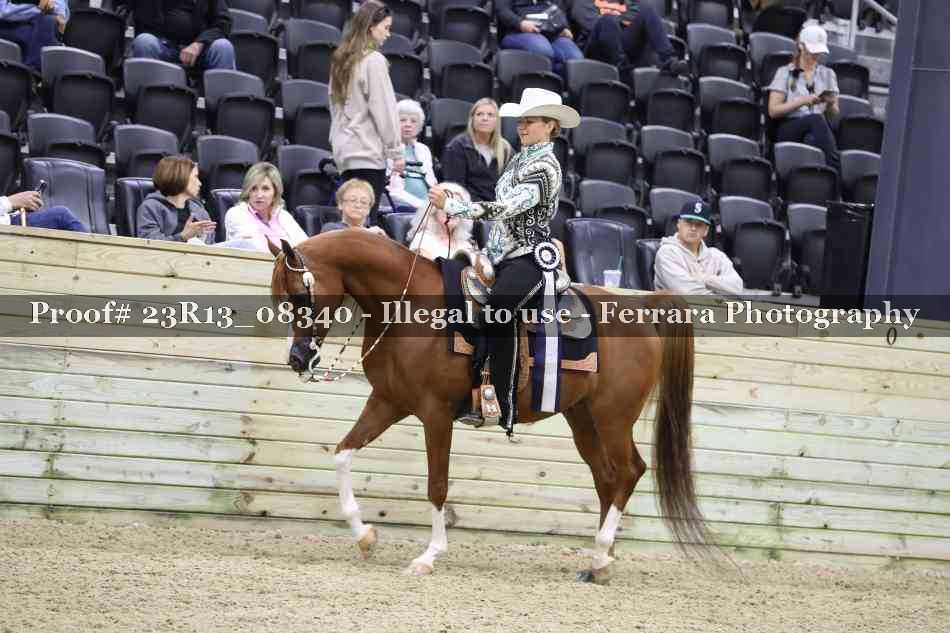 Proof Number 23R13_08340