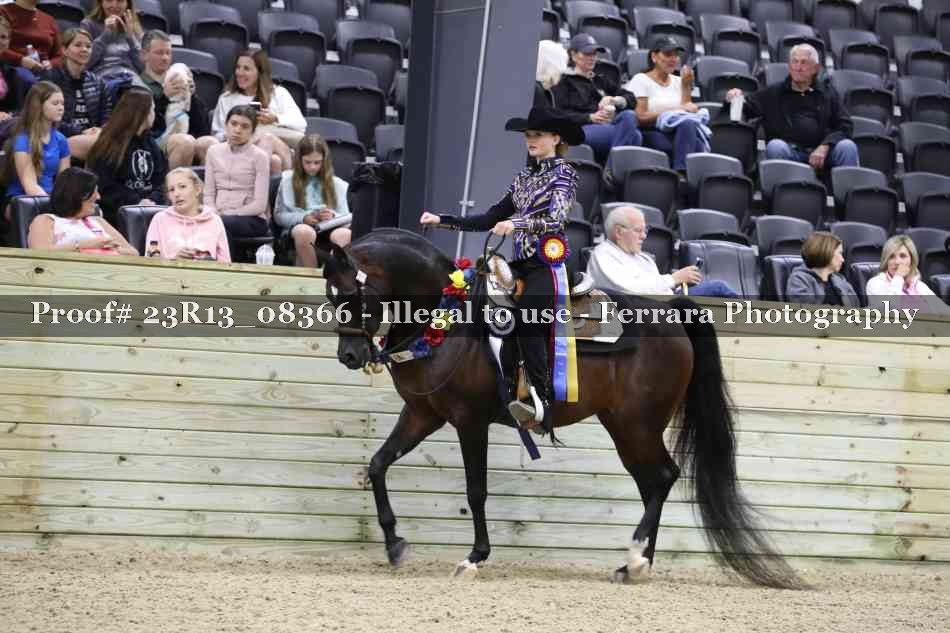 Proof Number 23R13_08366