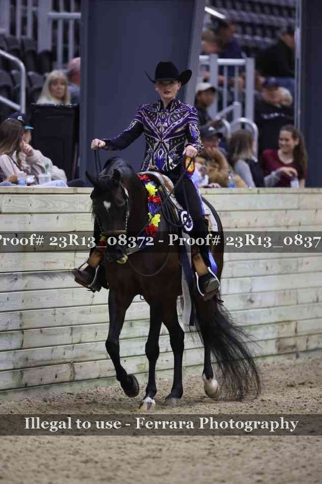Proof Number 23R13_08372