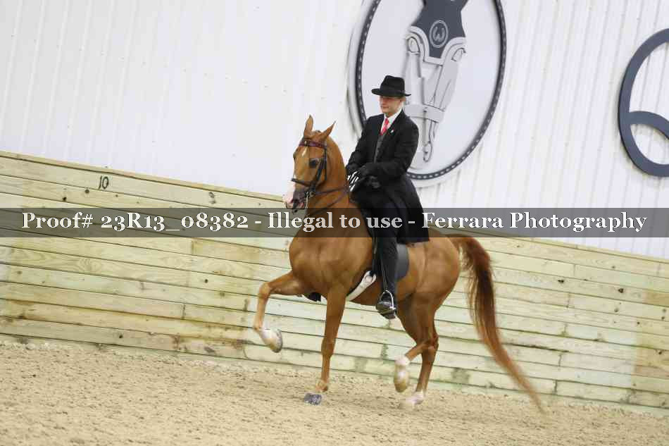 Proof Number 23R13_08382