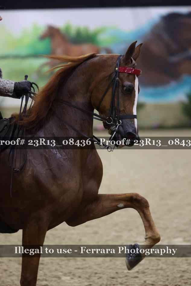 Proof Number 23R13_08436