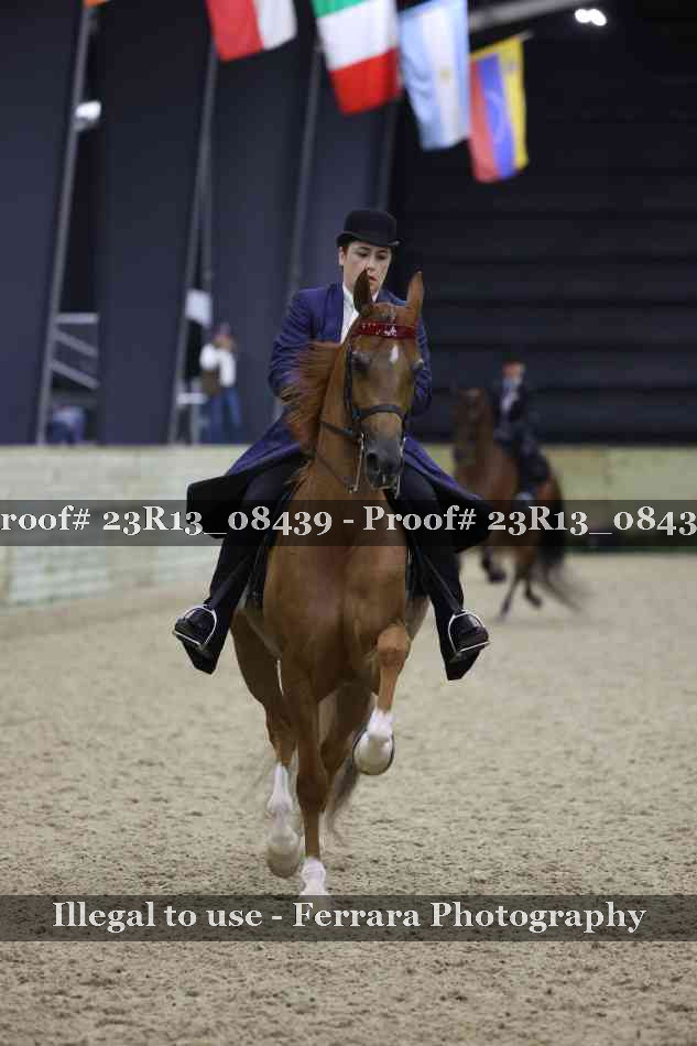 Proof Number 23R13_08439