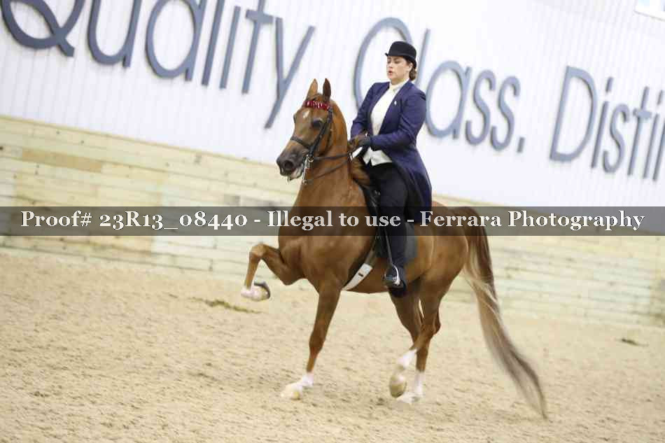 Proof Number 23R13_08440