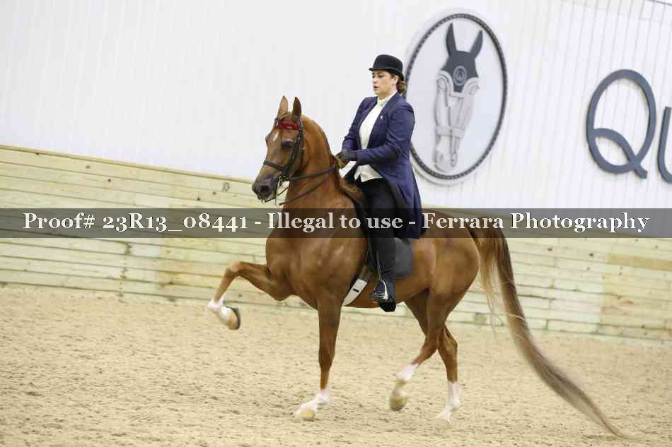 Proof Number 23R13_08441